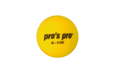 Pro's Pro S-100