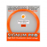 Signum Pro Plasma HEXtreme (1.30) 12m