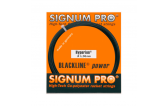 Signum Pro Hyperion (1.30) 12m