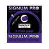 Signum Pro Thunderstorm (1.24) 12m
