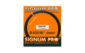 Signum Pro Hyperion (1.30) 12m